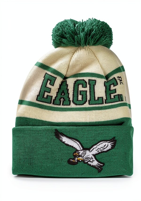 FOCO NFL Heritage Stripe Retro Logo Pom Beanie for Unisex Adults-3